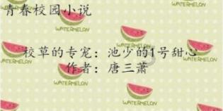 狗狗物品记忆卡